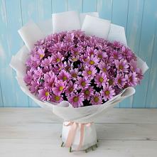 Букет цветов из:  Хризантемы в Северном Республики Коми