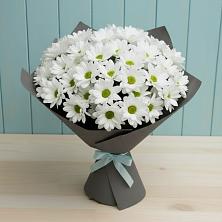 Букет цветов из:  Хризантемы в Северном Республики Коми