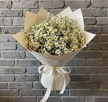 Букет цветов из:  Ромашки #REPLACE_PRED# Северном Республики Коми