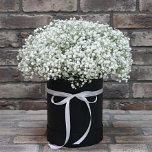 Цветочная композиция из Гипсофила в шляпной коробке #REPLACE_PRED# Северном Республики Коми