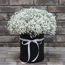 Цветочная композиция из Гипсофила в шляпной коробке в Северном Республики Коми